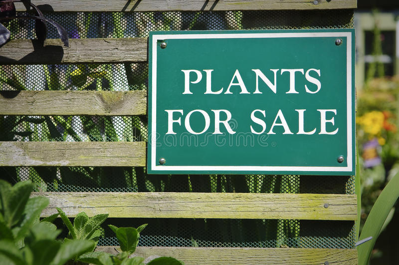 Horticulture plant sales